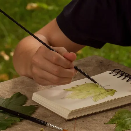 Du Couvent, A Luxury Collection Hotel, Hotel 5*