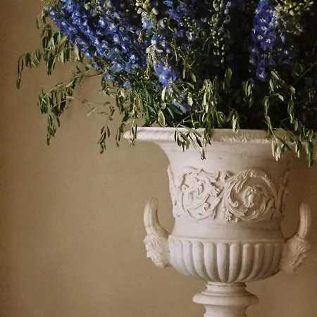 Du Couvent, A Luxury Collection Hotel,